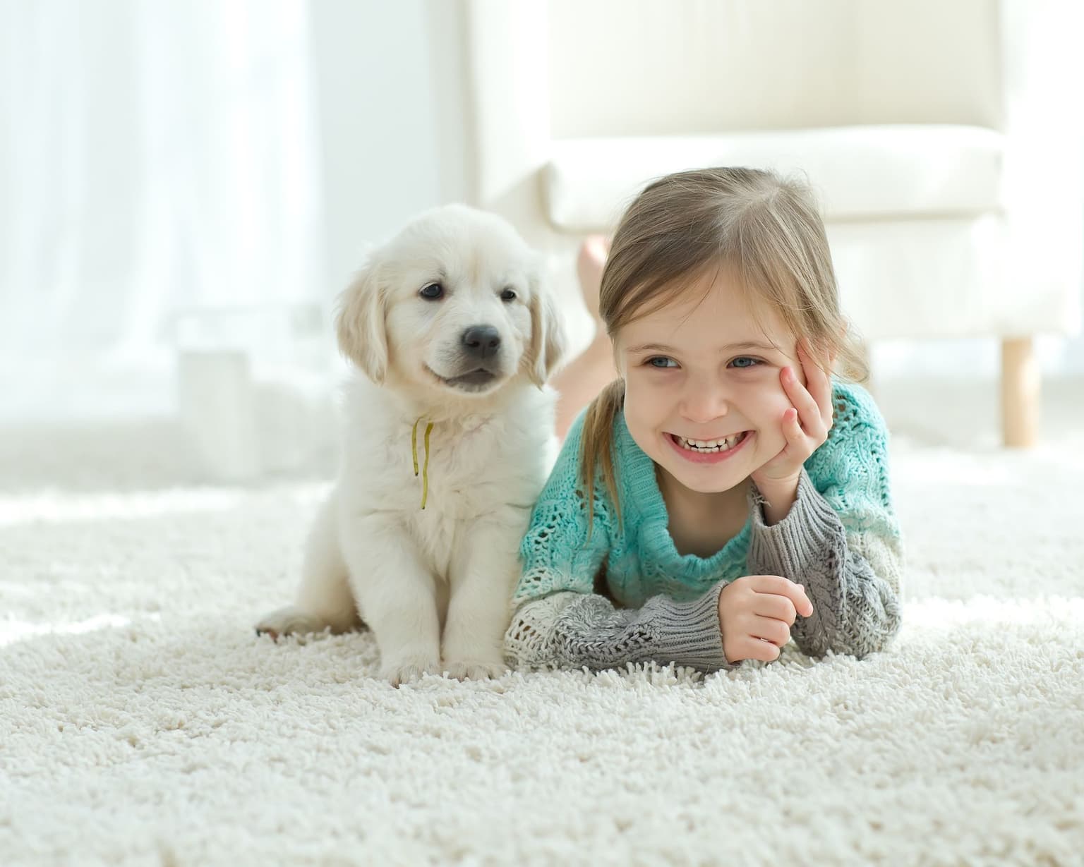 About Safe-Dry Carpet Cleaning of Brentwood
