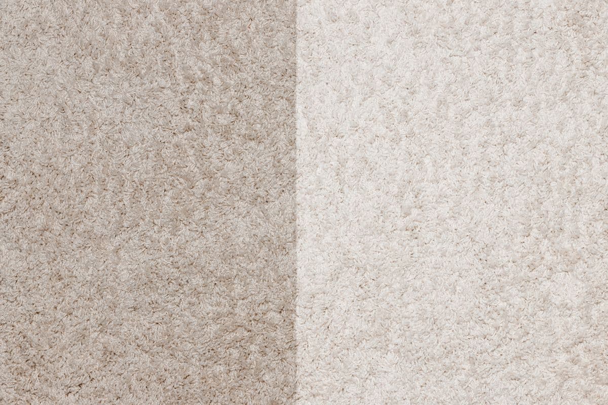 Carpet cleaning in Antioch, TN